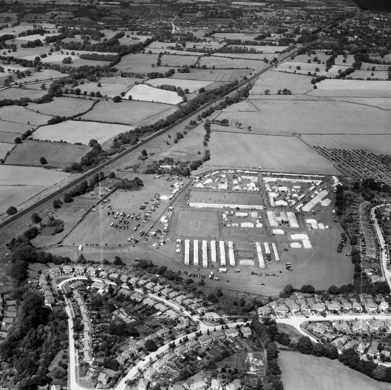 Claypit Wood 1953 no3