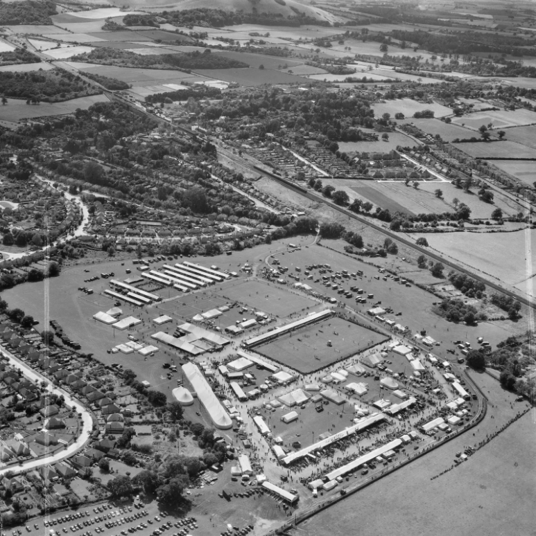 Claypit Wood 1953 no1