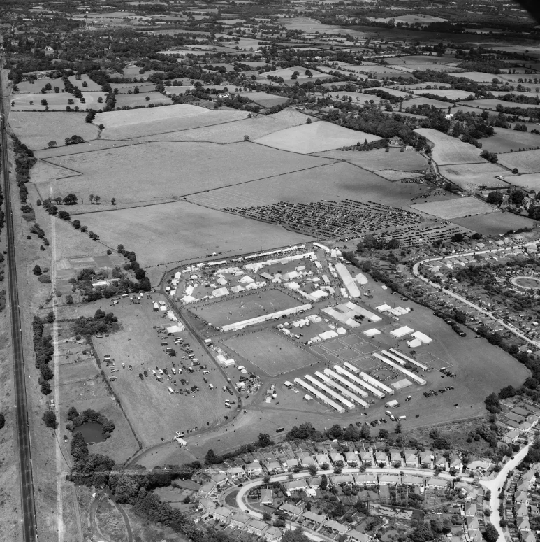 Claypit Wood 1953 no2