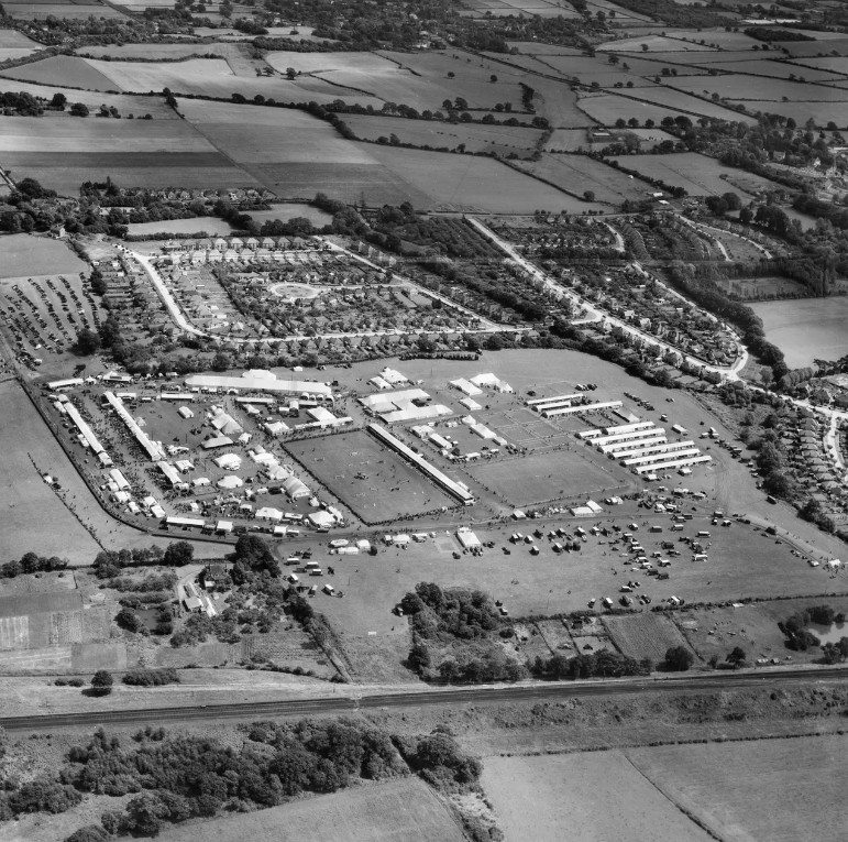 Claypit Wood 1953 no4