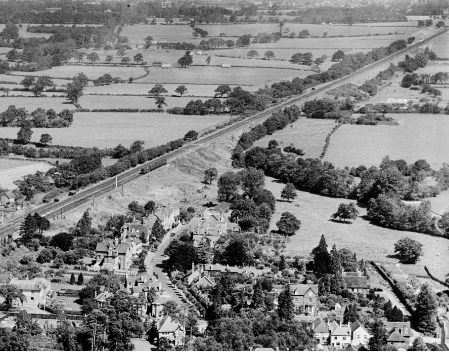 Claypit Wood 1932