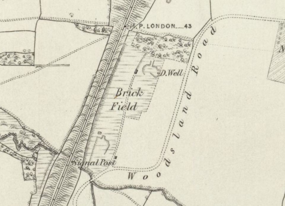Claypit Wood 1879